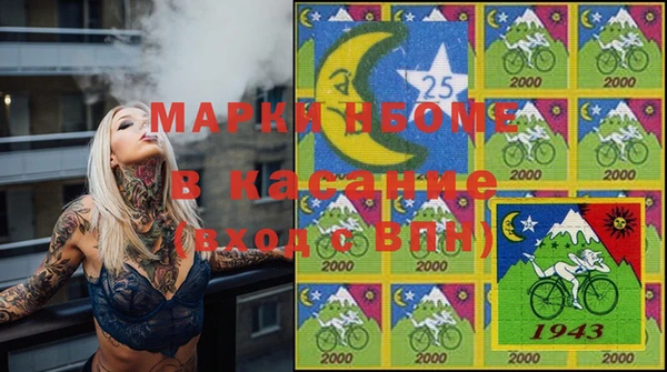 индика Навашино