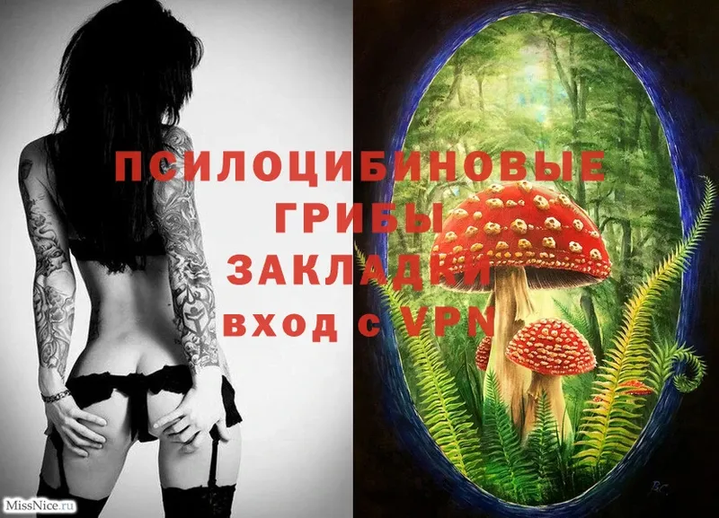 купить наркоту  Ирбит  Галлюциногенные грибы MAGIC MUSHROOMS 